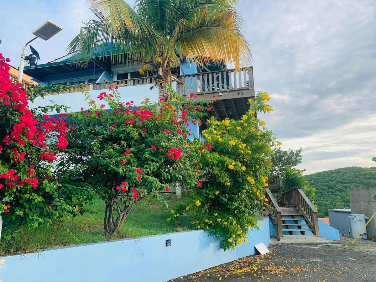Coqui Beach Home, Culebra Isla Culebra Bagian luar foto