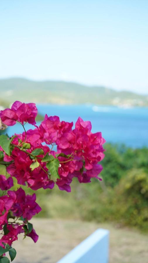 Coqui Beach Home, Culebra Isla Culebra Bagian luar foto